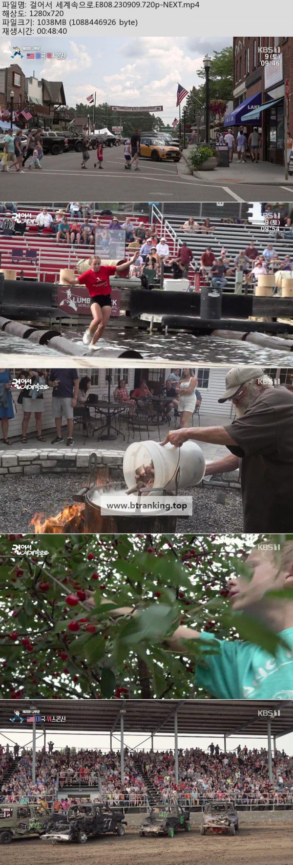 17503876696123.jpg