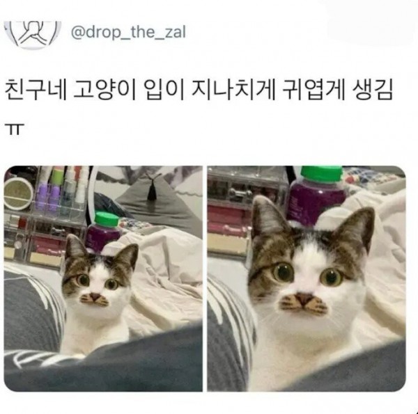 17499194470849.jpg